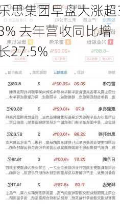 乐思集团早盘大涨超33% 去年营收同比增长27.5%