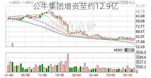 公牛集团增资至约12.9亿