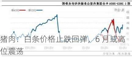 猪肉：白条价格止跌回弹，6 月或高位震荡