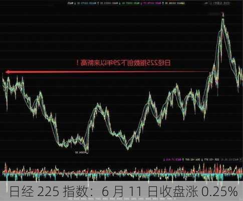 日经 225 指数：6 月 11 日收盘涨 0.25%