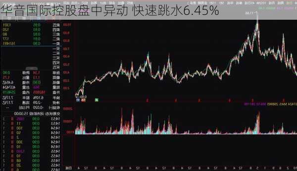 华音国际控股盘中异动 快速跳水6.45%