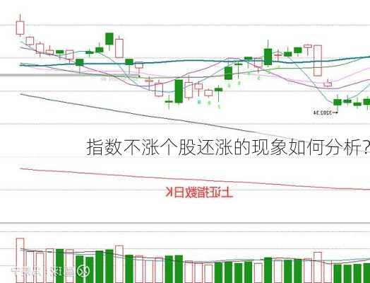 指数不涨个股还涨的现象如何分析？