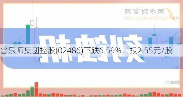 普乐师集团控股(02486)下跌6.59%，报2.55元/股