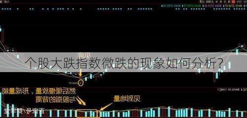 个股大跌指数微跌的现象如何分析？