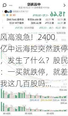 风高浪急！2400亿中远海控突然跌停，发生了什么？股民：一买就跌停，就差我这几百股吗...