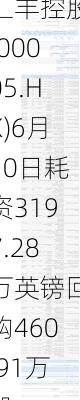 汇丰控股(00005.HK)6月10日耗资3197.28万英镑回购460.91万股