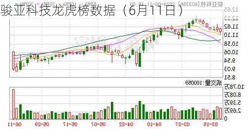 骏亚科技龙虎榜数据（6月11日）