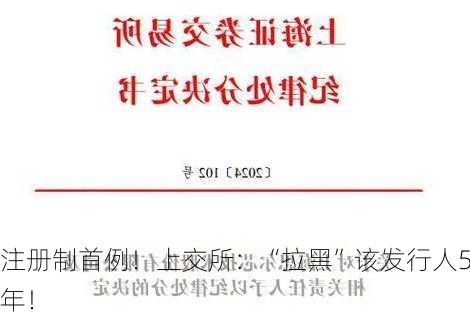 注册制首例！上交所：“拉黑”该发行人5年！