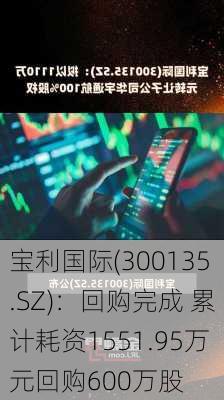 宝利国际(300135.SZ)：回购完成 累计耗资1551.95万元回购600万股