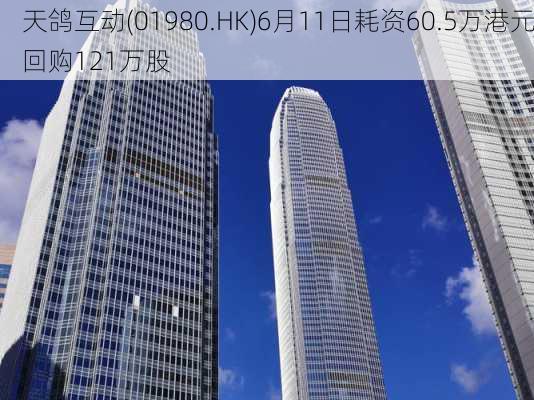 天鸽互动(01980.HK)6月11日耗资60.5万港元回购121万股