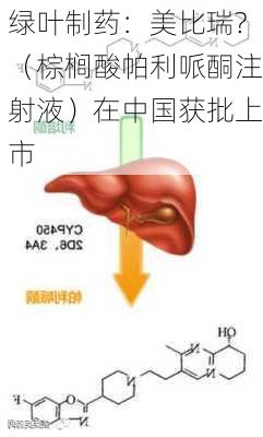 绿叶制药：美比瑞?（棕榈酸帕利哌酮注射液）在中国获批上市