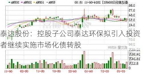 泰达股份：控股子公司泰达环保拟引入投资者继续实施市场化债转股