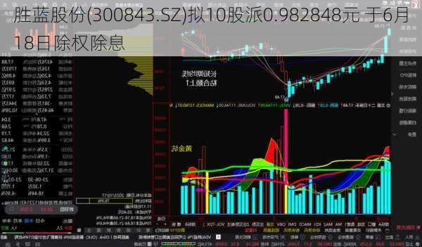 胜蓝股份(300843.SZ)拟10股派0.982848元 于6月18日除权除息