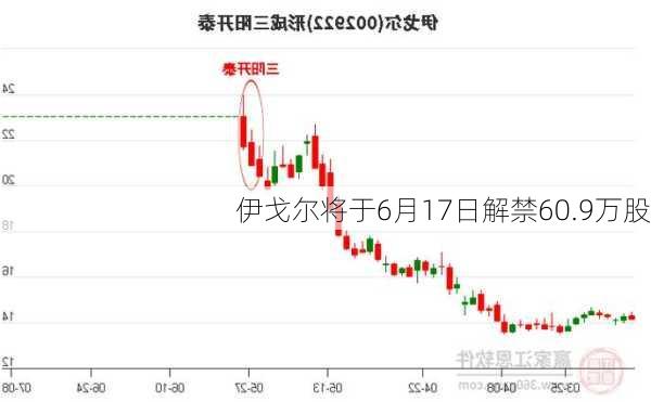 伊戈尔将于6月17日解禁60.9万股