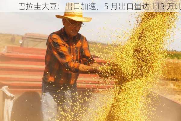 巴拉圭大豆：出口加速，5 月出口量达 113 万吨