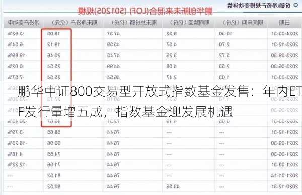 鹏华中证800交易型开放式指数基金发售：年内ETF发行量增五成，指数基金迎发展机遇