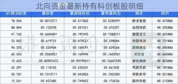 北向资金最新持有科创板股明细