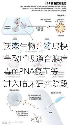 沃森生物：将尽快争取呼吸道合胞病毒mRNA疫苗等进入临床研究阶段