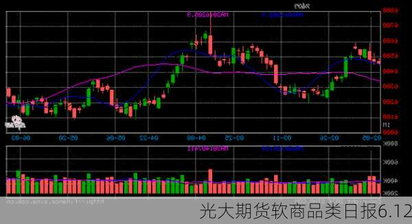 光大期货软商品类日报6.12