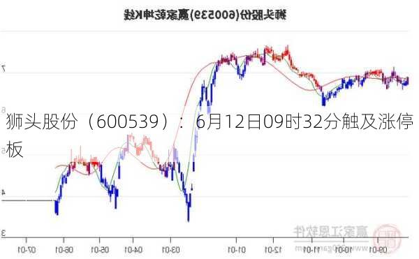 狮头股份（600539）：6月12日09时32分触及涨停板