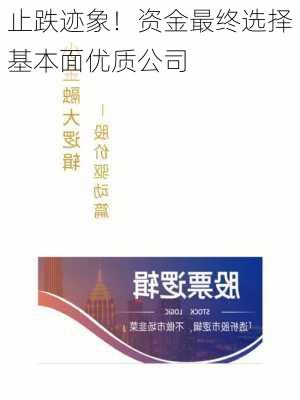 止跌迹象！资金最终选择基本面优质公司