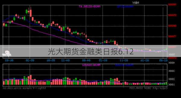 光大期货金融类日报6.12