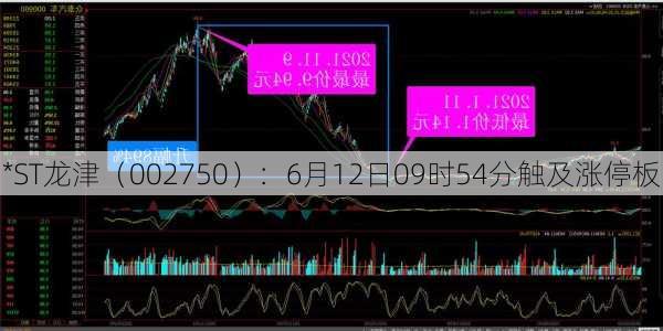 *ST龙津（002750）：6月12日09时54分触及涨停板