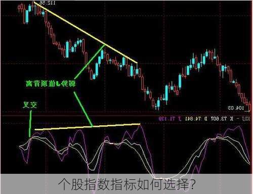 个股指数指标如何选择？