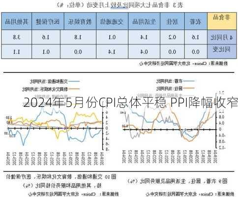 2024年5月份CPI总体平稳 PPI降幅收窄