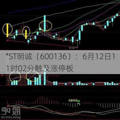 *ST明诚（600136）：6月12日11时02分触及涨停板