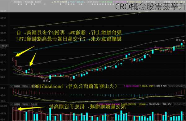 CRO概念股震荡攀升