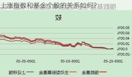 上涨指数和基金个股的关系如何？