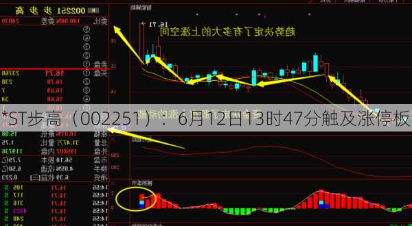 *ST步高（002251）：6月12日13时47分触及涨停板