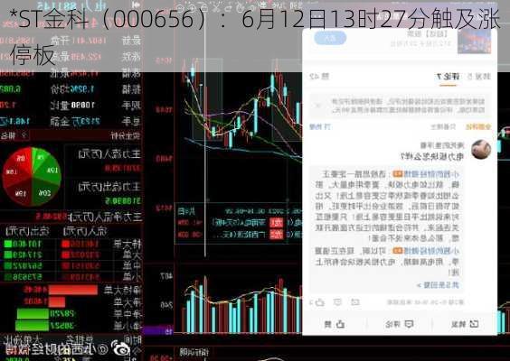 *ST金科（000656）：6月12日13时27分触及涨停板