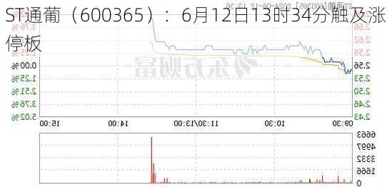 ST通葡（600365）：6月12日13时34分触及涨停板