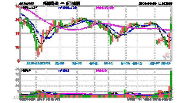 海能实业（300787）：6月12日14时26分触及涨停板