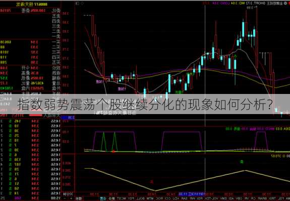 指数弱势震荡个股继续分化的现象如何分析？