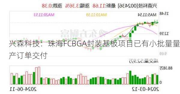 兴森科技：珠海FCBGA封装基板项目已有小批量量产订单交付