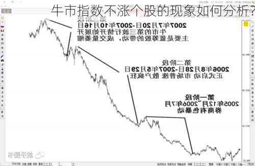 牛市指数不涨个股的现象如何分析？