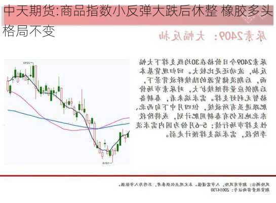 中天期货:商品指数小反弹大跌后休整 橡胶多头格局不变