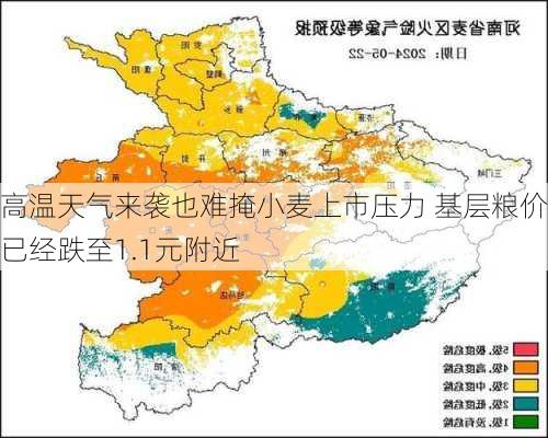 高温天气来袭也难掩小麦上市压力 基层粮价已经跌至1.1元附近