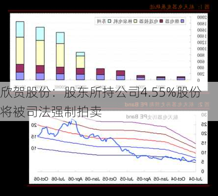 欣贺股份：股东所持公司4.55%股份将被司法强制拍卖