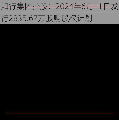 知行集团控股：2024年6月11日发行2835.67万股购股权计划