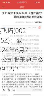 ST英飞拓(002528.SZ)：截至2024年6月7日，公司股东总户数为93912户