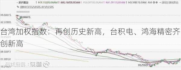 台湾加权指数：再创历史新高，台积电、鸿海精密齐创新高