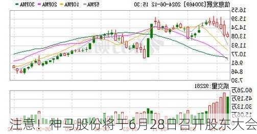 注意！神马股份将于6月28日召开股东大会