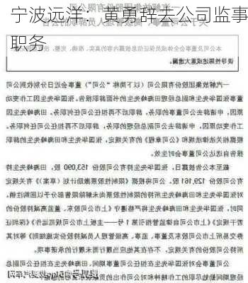 宁波远洋：黄勇辞去公司监事职务