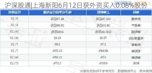 沪深股通|上海新阳6月12日获外资买入0.08%股份