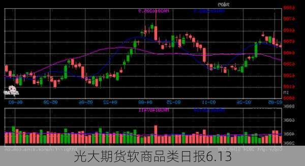 光大期货软商品类日报6.13