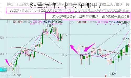 缩量反弹，机会在哪里？